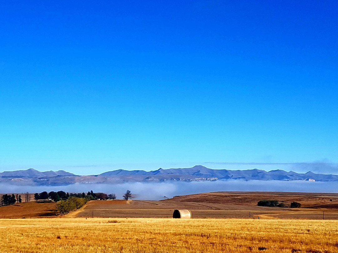 Rosendal酒店住宿-Affi Lande Boetiek Guest Farm