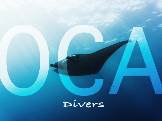 OCA divers-沙努尔必去景点