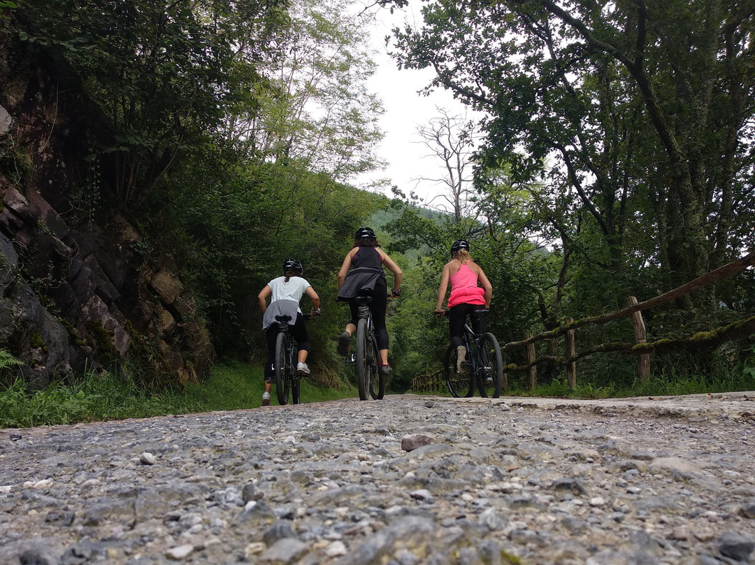 Leitzaran Bisitarien Etxea-Andoain必去景点