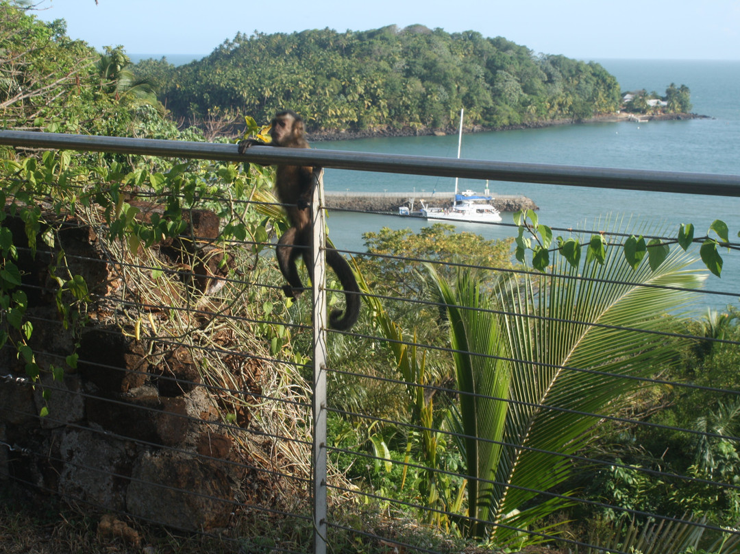 Exciting Tours-帕拉马里博必去景点