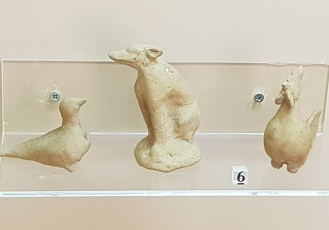 Marion - Arsinoe Archaeological Museum景点图片