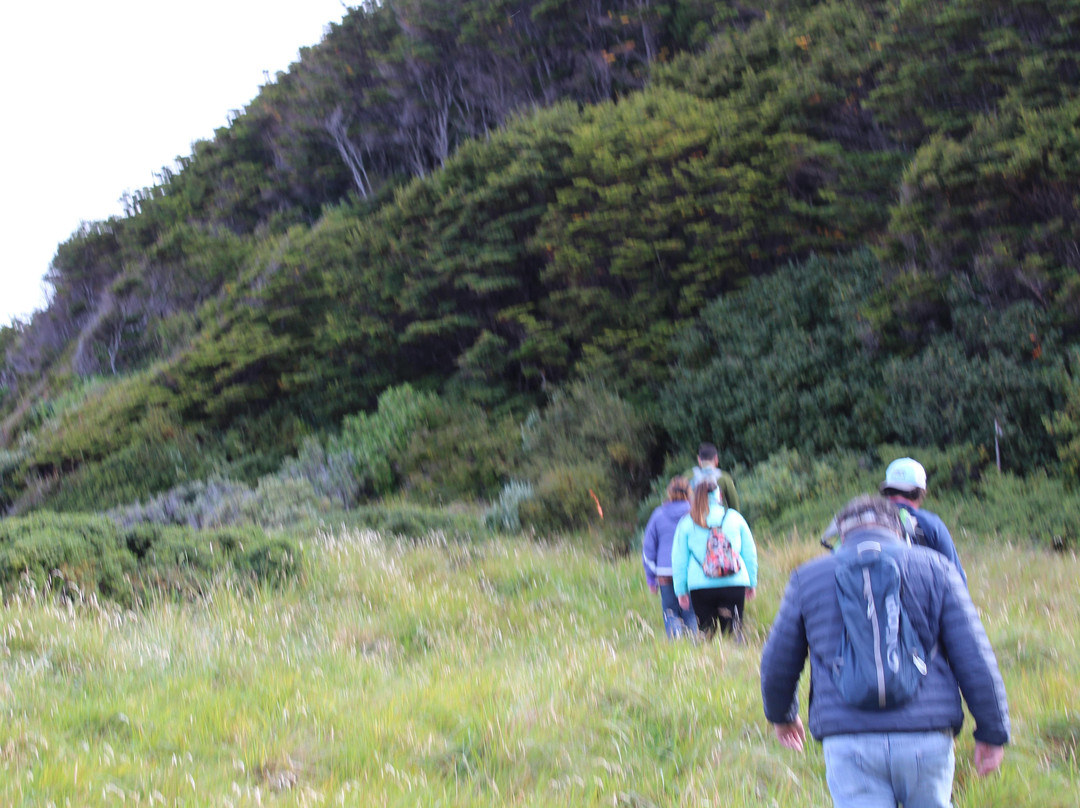 Indomita Adventures Patagonia-蓬塔阿雷纳斯必去景点