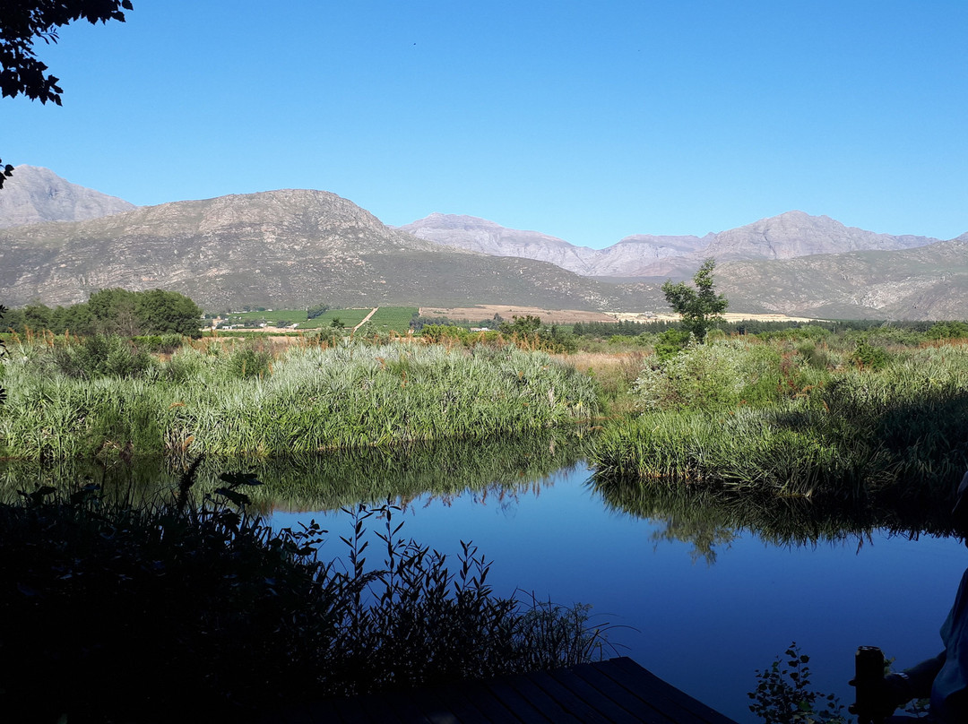 Kardouw Country Retreat - Tree Tops主图