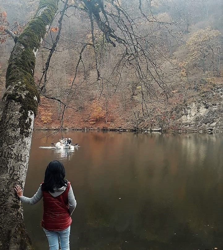 Lake Parz景点图片