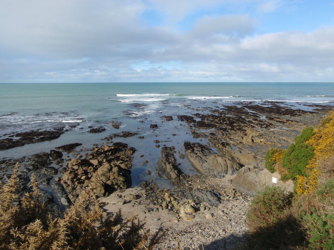 Kaka Point Scenic View Point & Picnic Area景点图片