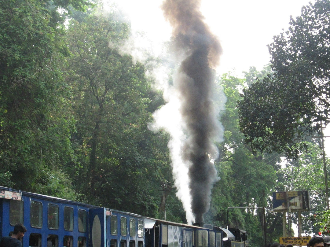 Nilgiri Mountain Railway景点图片