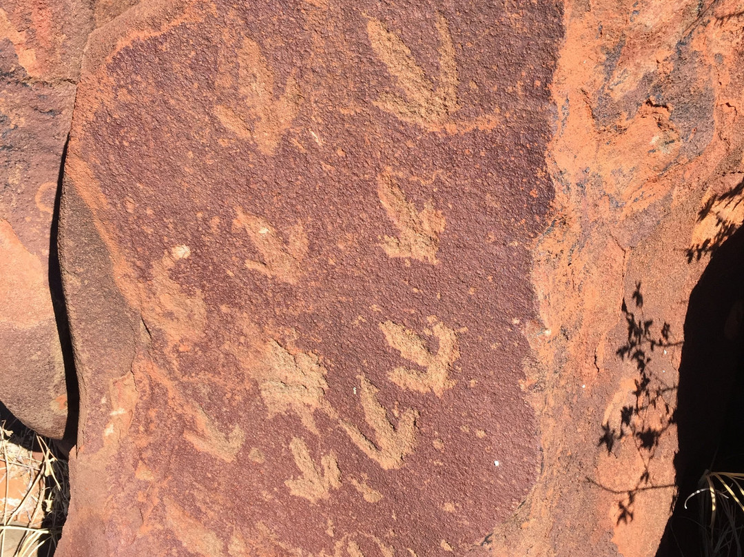 Experience Murujuga-Dampier必去景点