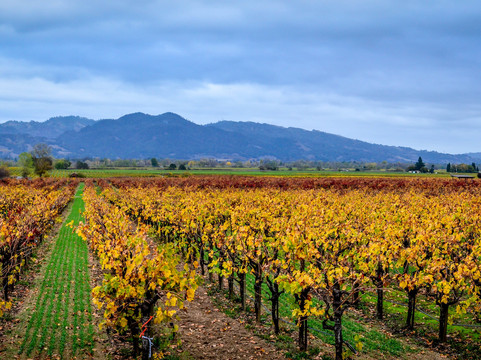 Clos du Bois-Geyserville必去景点