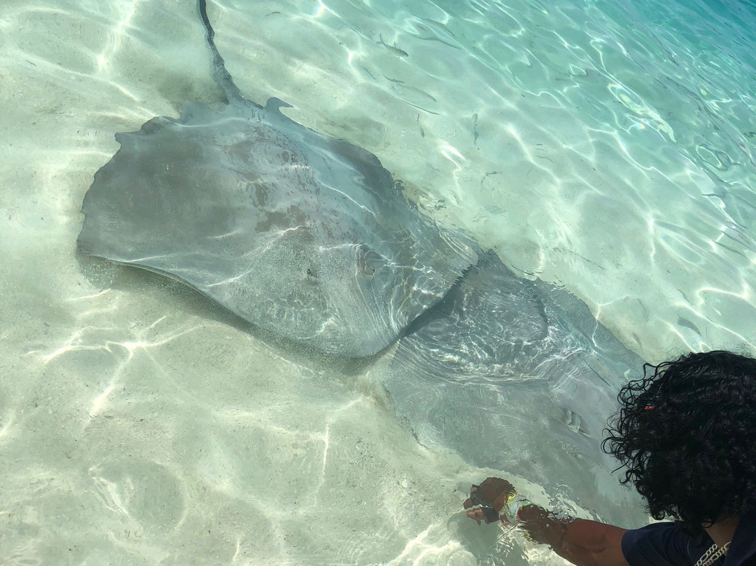 弗里德胡拉佩尔拉旅馆主图