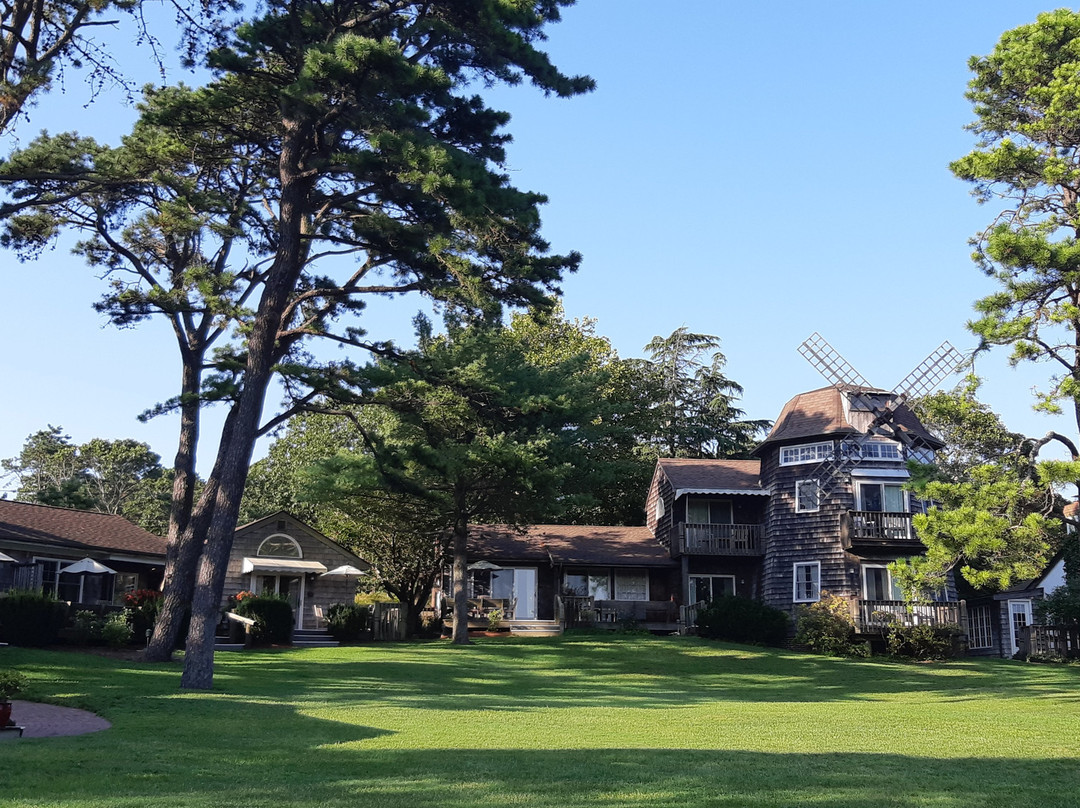 The Hampton Maid主图