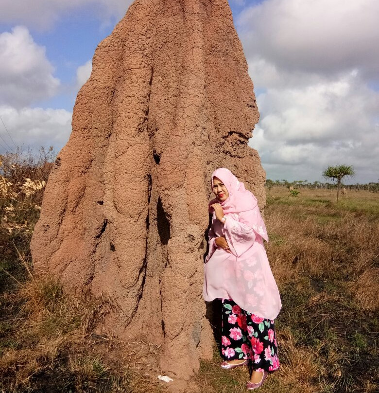 Giant Ant Nest-马老奇必去景点