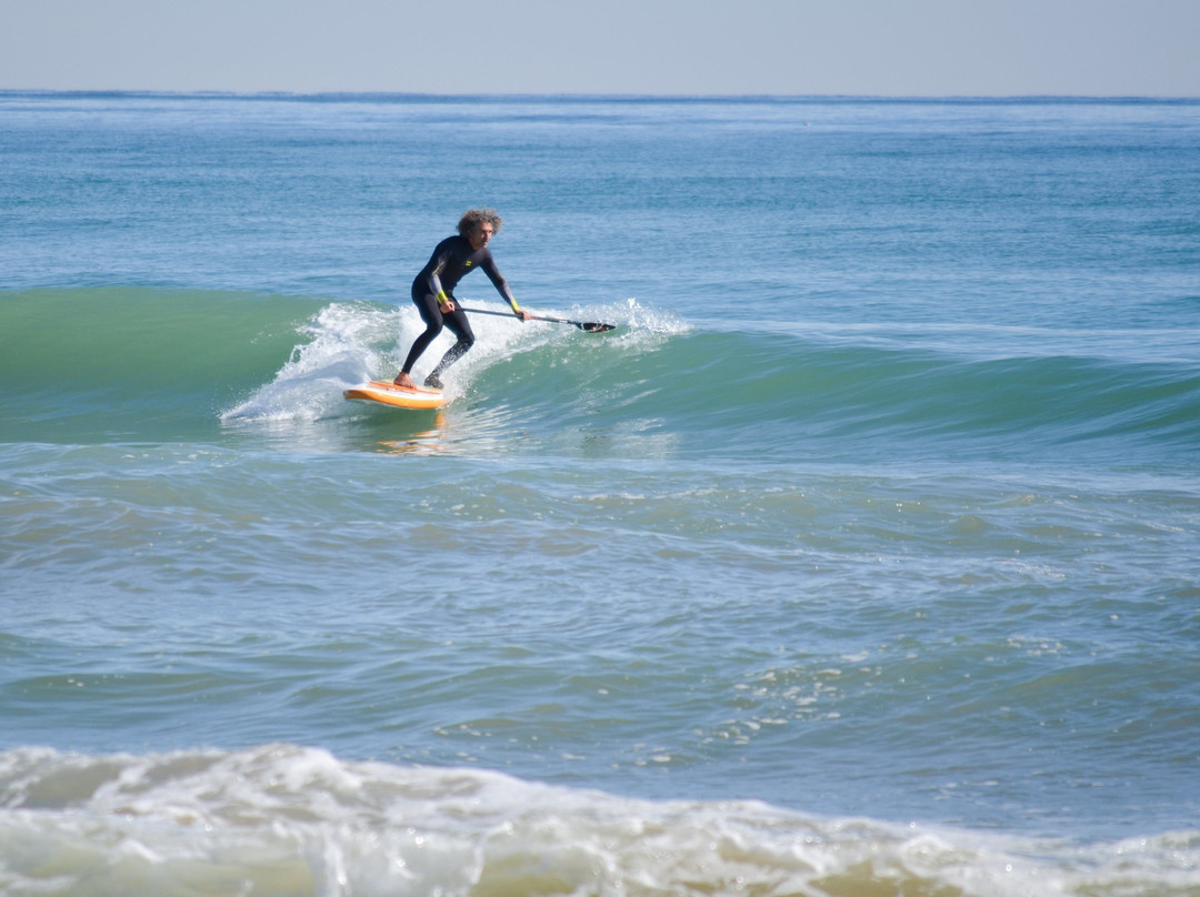 Supskull-巴伦西亚必去景点