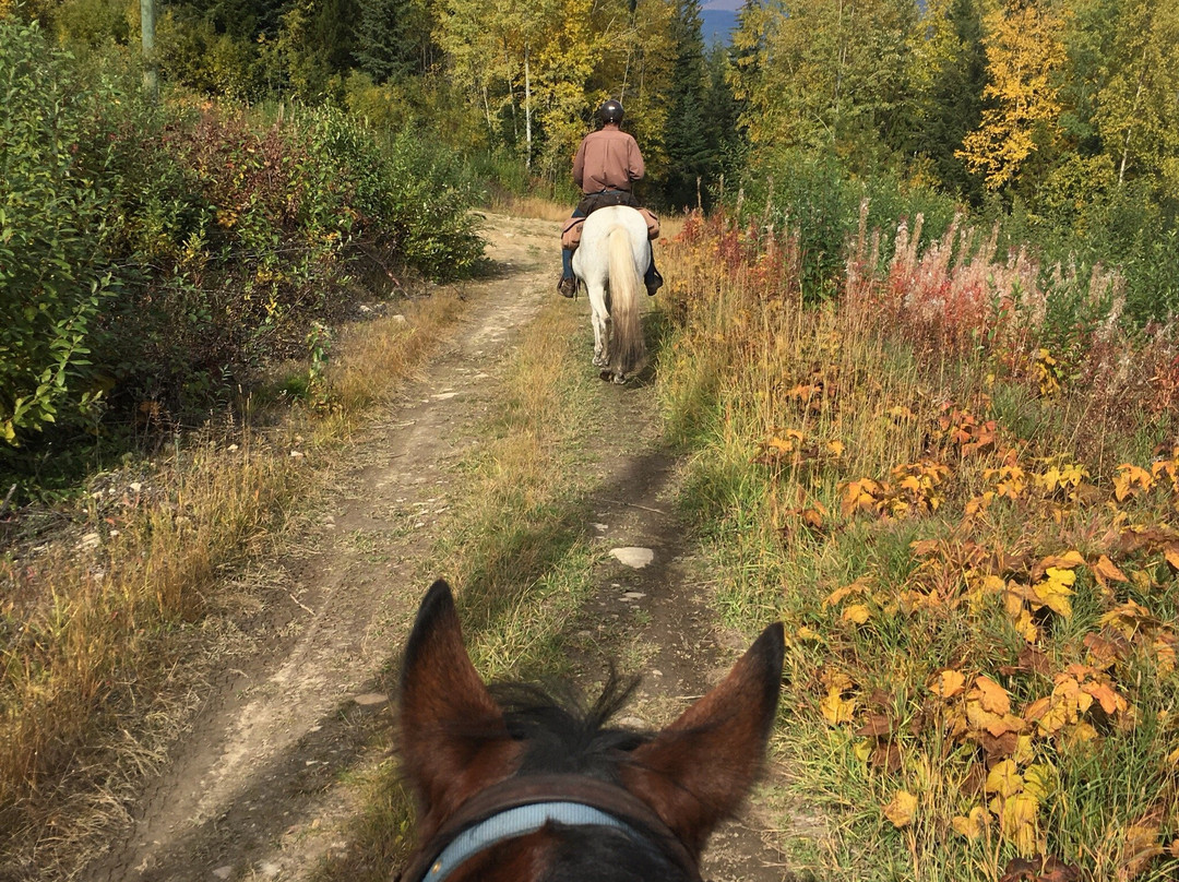 Willow Ranch-维尔蒙特必去景点