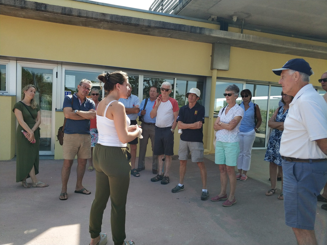 Barcelona Discovery-巴塞罗那必去景点