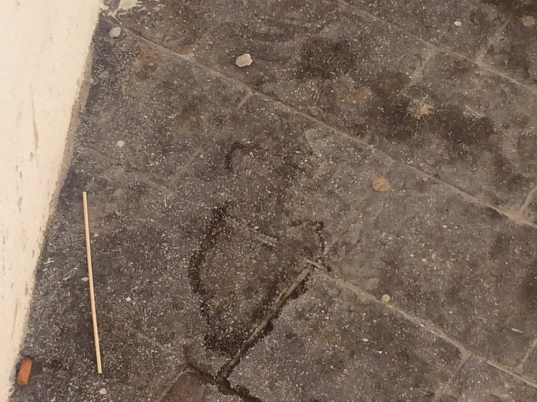 Coast Ridge Mansion主图