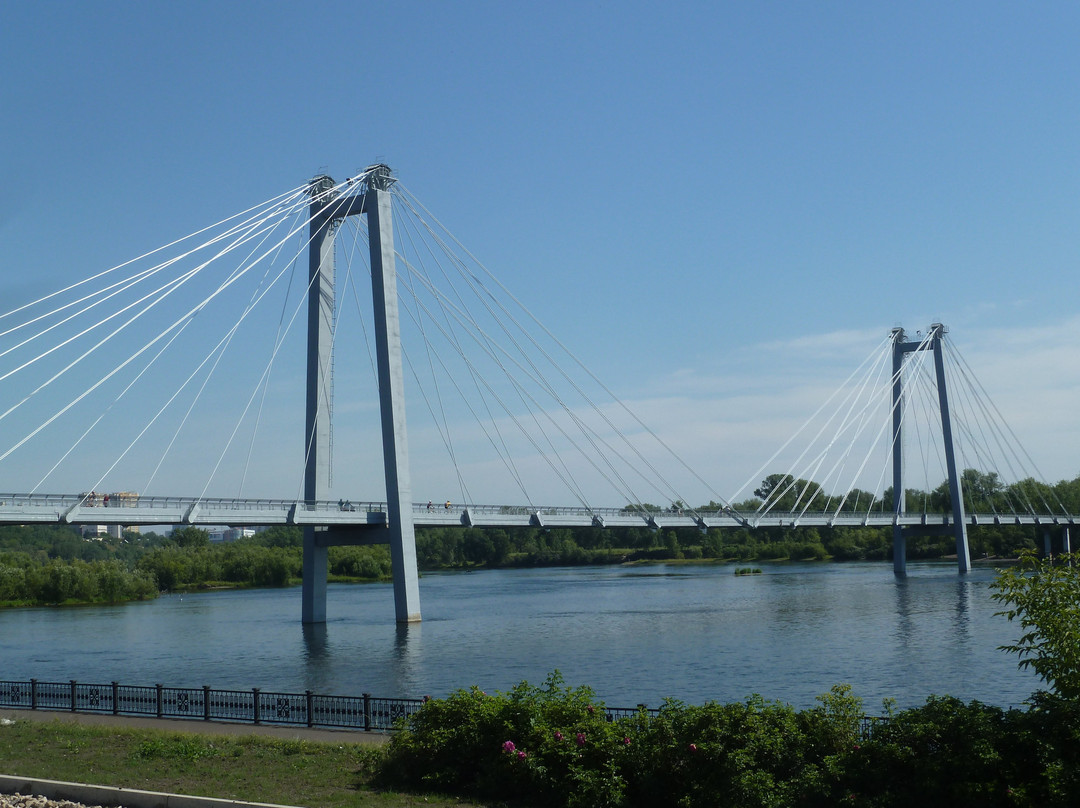 Vynogradovskiy Bridge景点图片