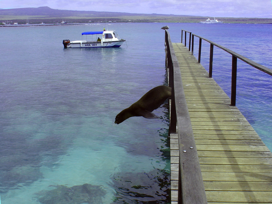 Galapagos Aquatours-阿约拉港必去景点