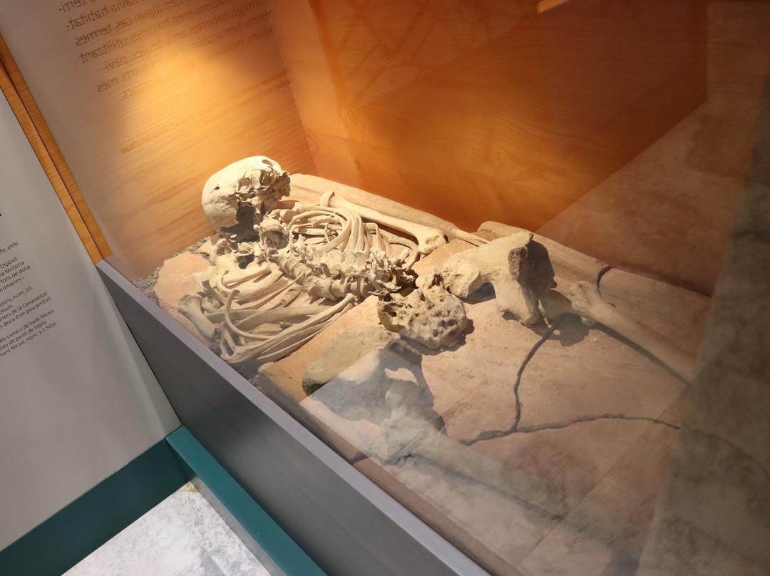 Museu de Gavà-加瓦必去景点