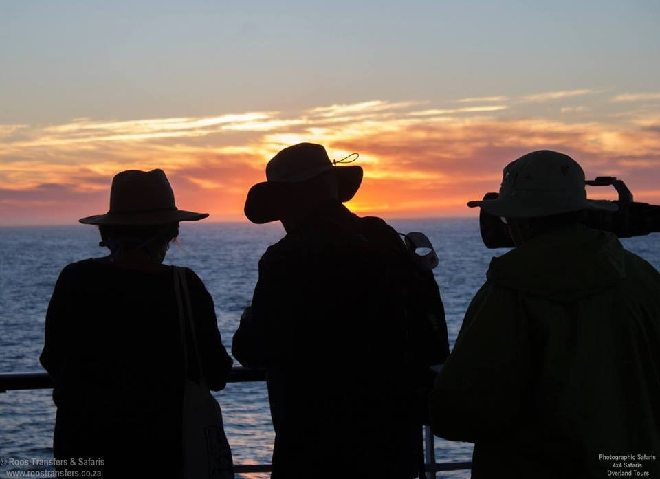 Apex Tours & Safaris-比勒陀利亚必去景点