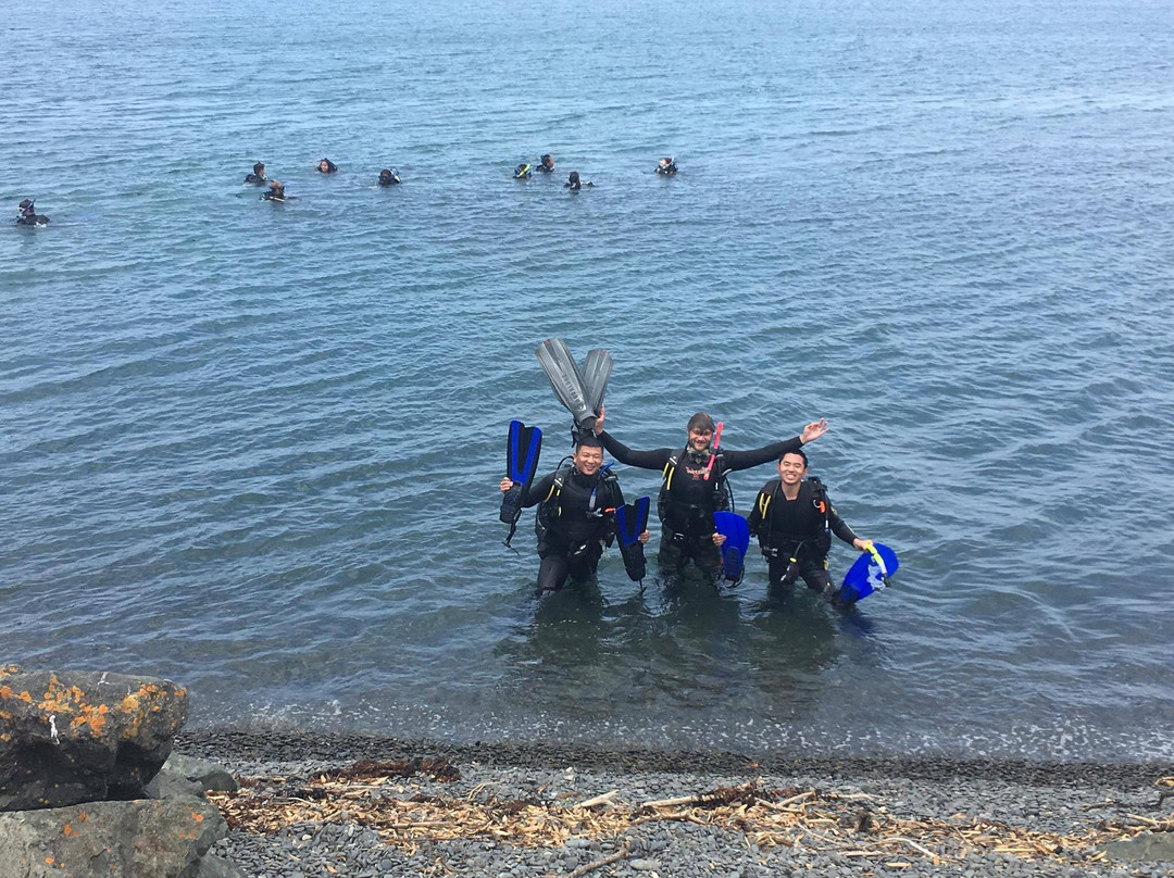 Performance Diver NZ景点图片