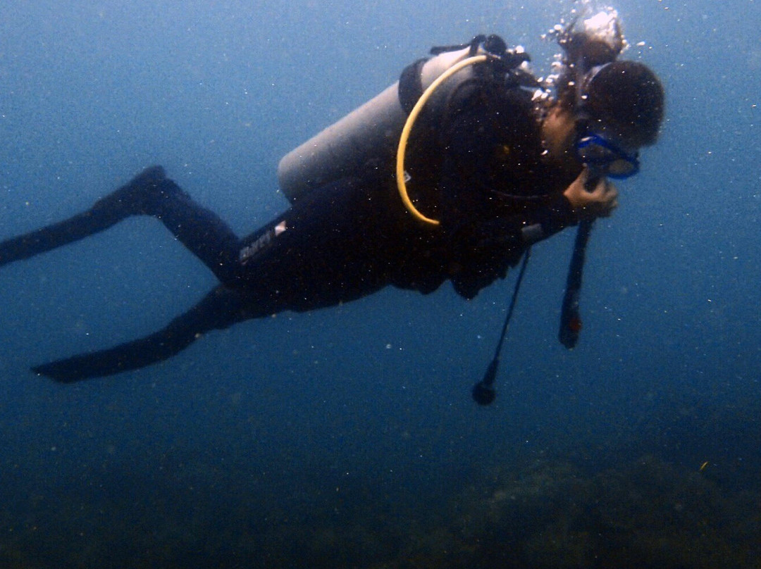 Weligama Bay Dive Center景点图片