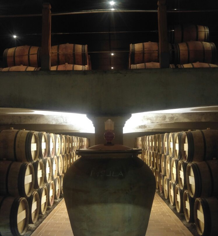 Chateau Poitevin景点图片