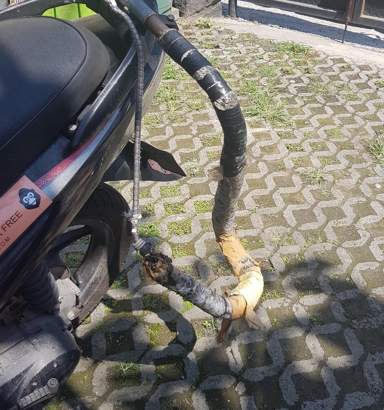 Gorilla Bike Rental景点图片