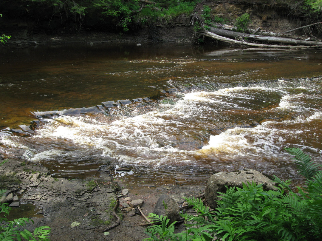 Parc régional de la Rivière Gentilly-Saint-Louis-de-Blandford必去景点
