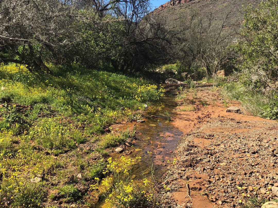 Cederberg Wilderness Area-克兰威廉必去景点