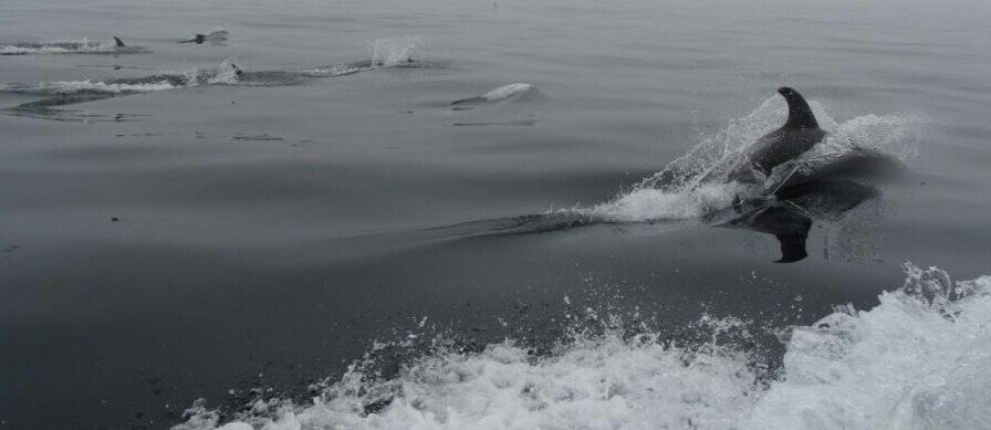 Elaine's Bed and Breakfast By The Sea主图