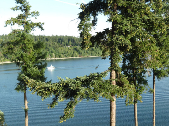 Clearwater Casino Resort主图