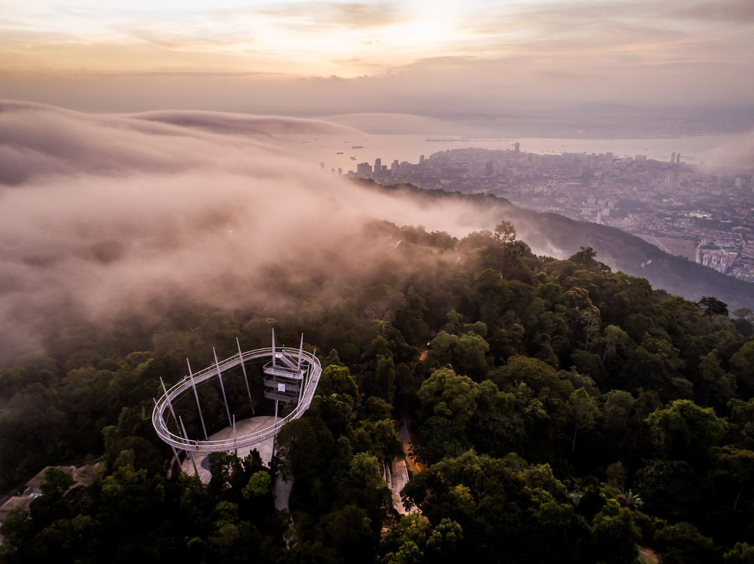 The Habitat Penang Hill景点图片