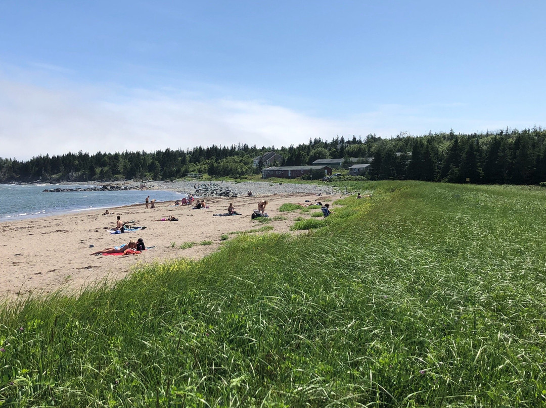 Cow Bay旅游攻略图片