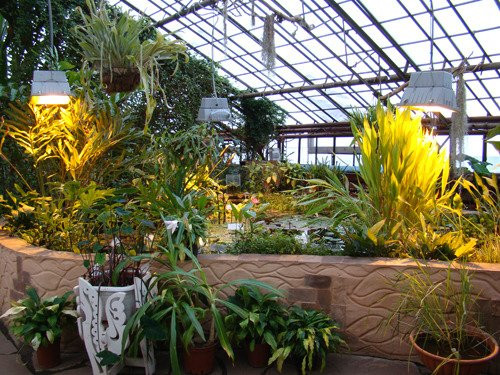 Botanical Garden of ISU-伊尔库茨克必去景点