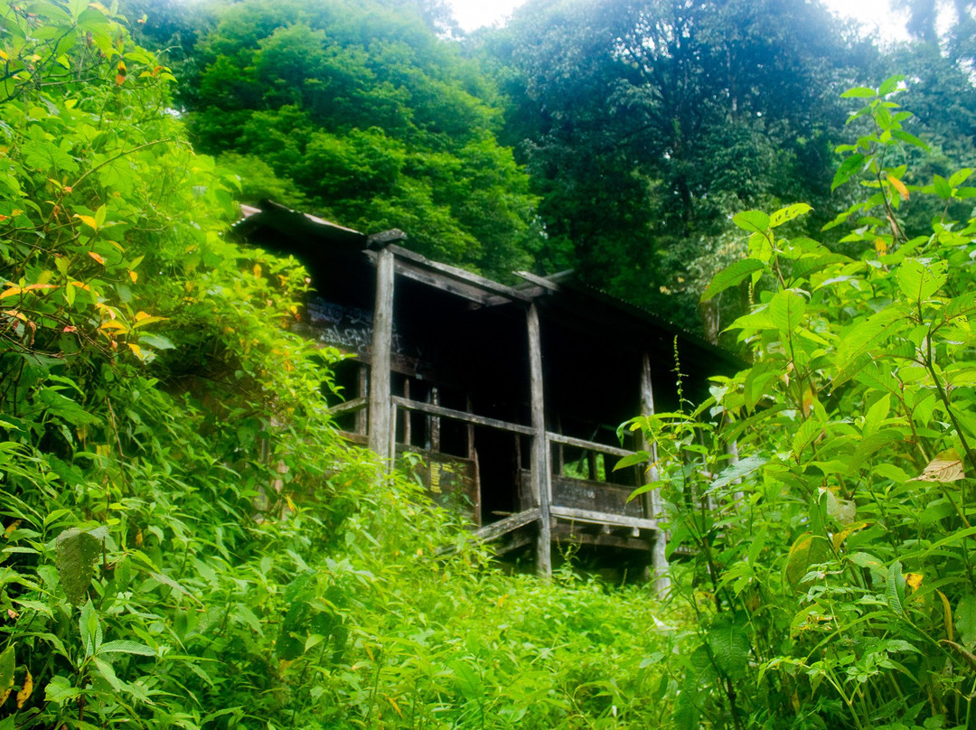 Japfu Peak景点图片
