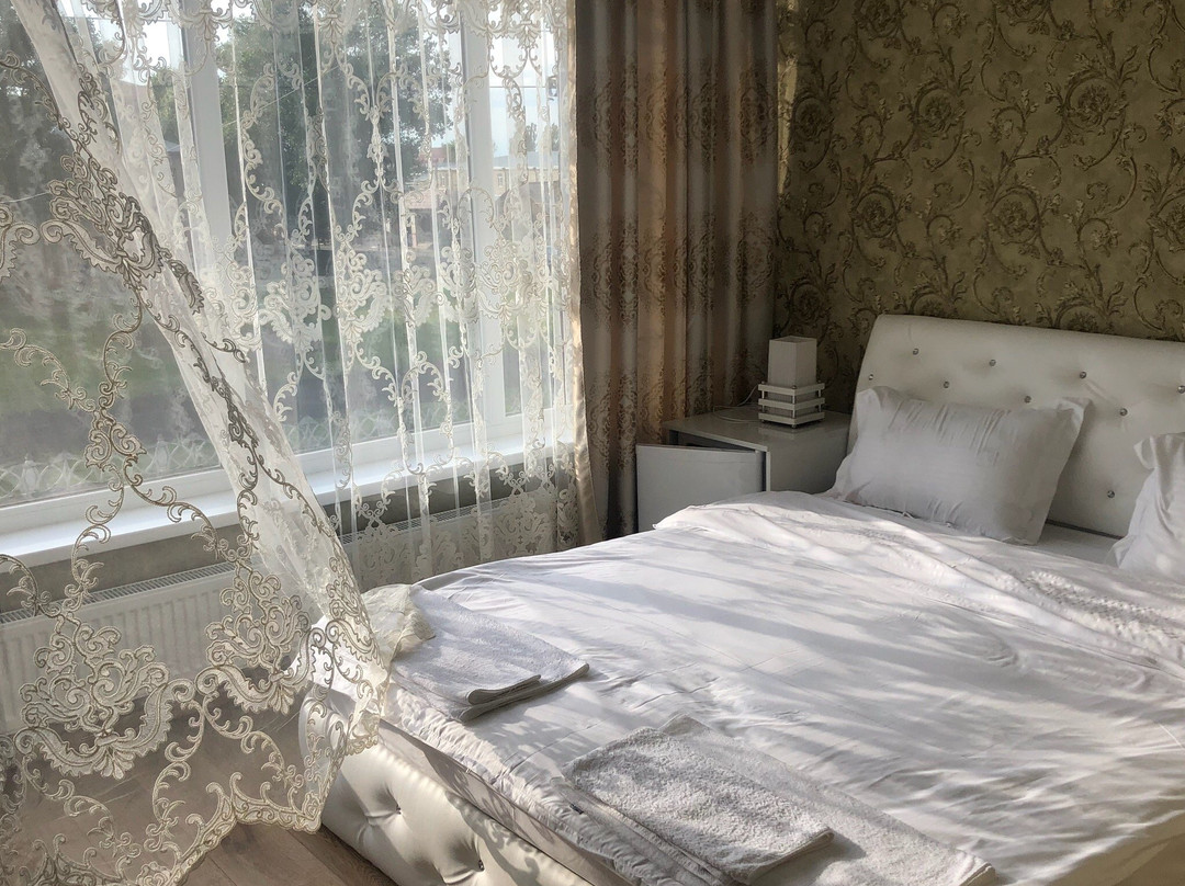 Hotel Sonya主图