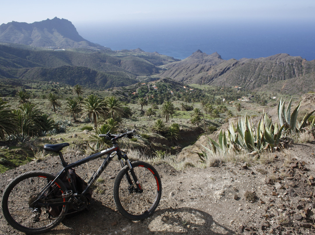 Canarias Nature Guides景点图片