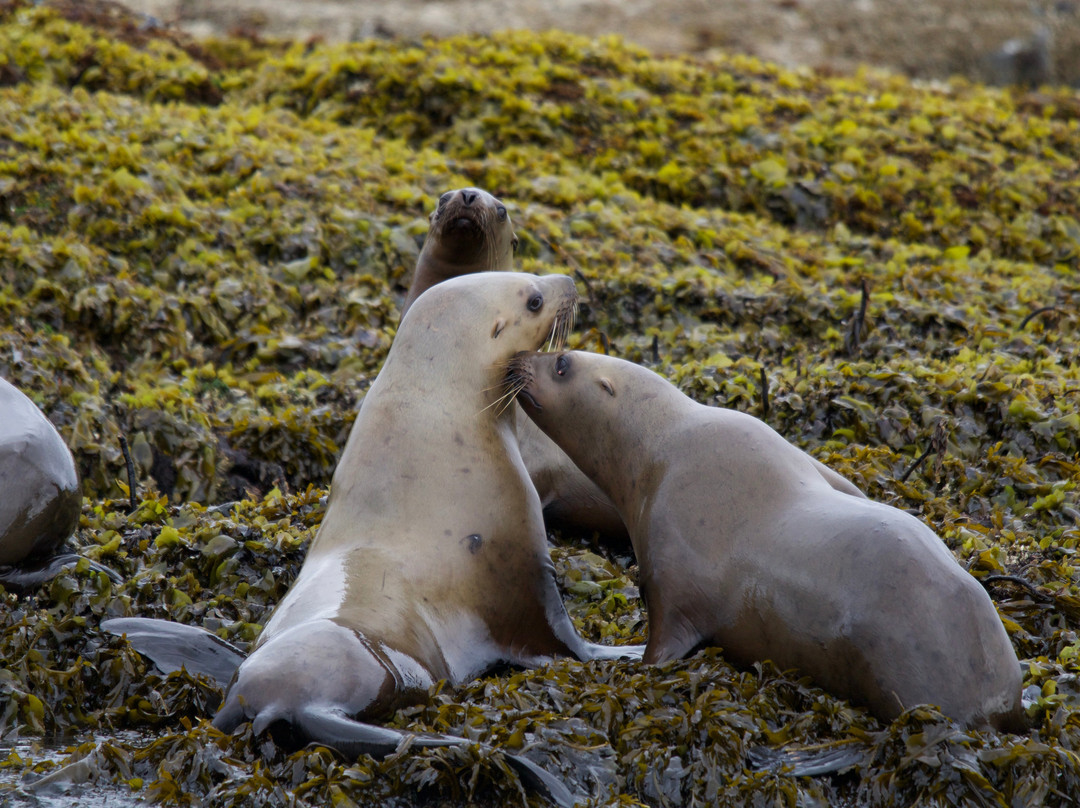 k'awat'si Tours-哈迪港必去景点