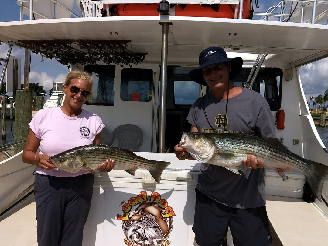 Lead Dog Charters-Stevensville必去景点