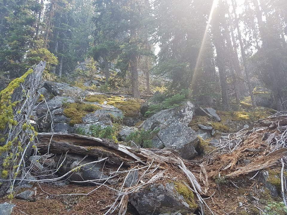 The Boulder Fields-基洛纳必去景点