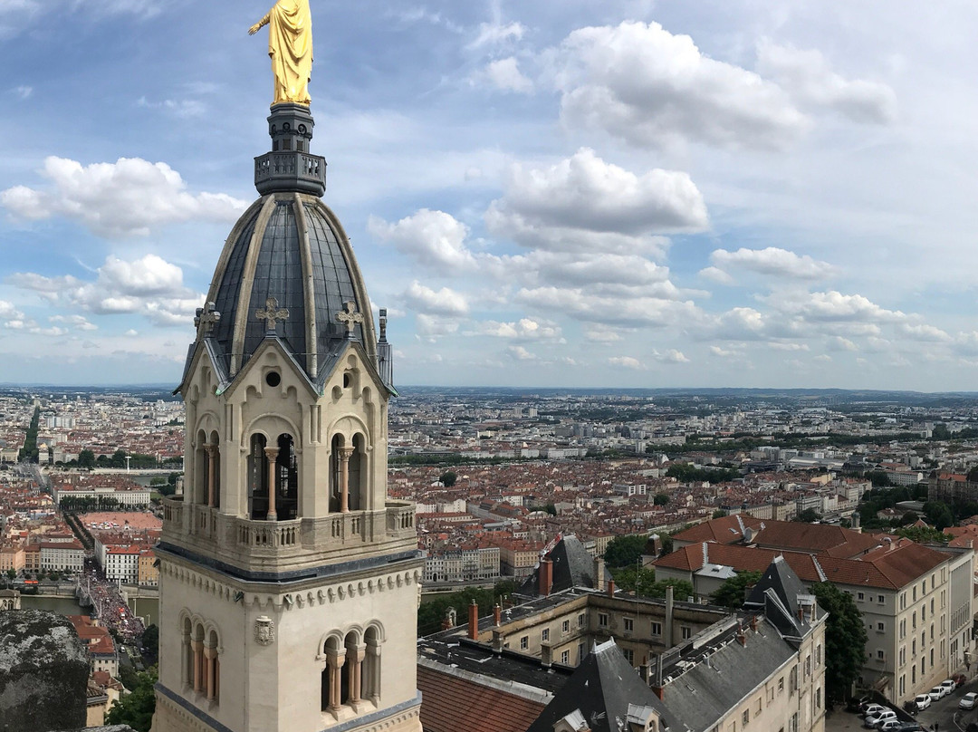 Lyon Insolite景点图片