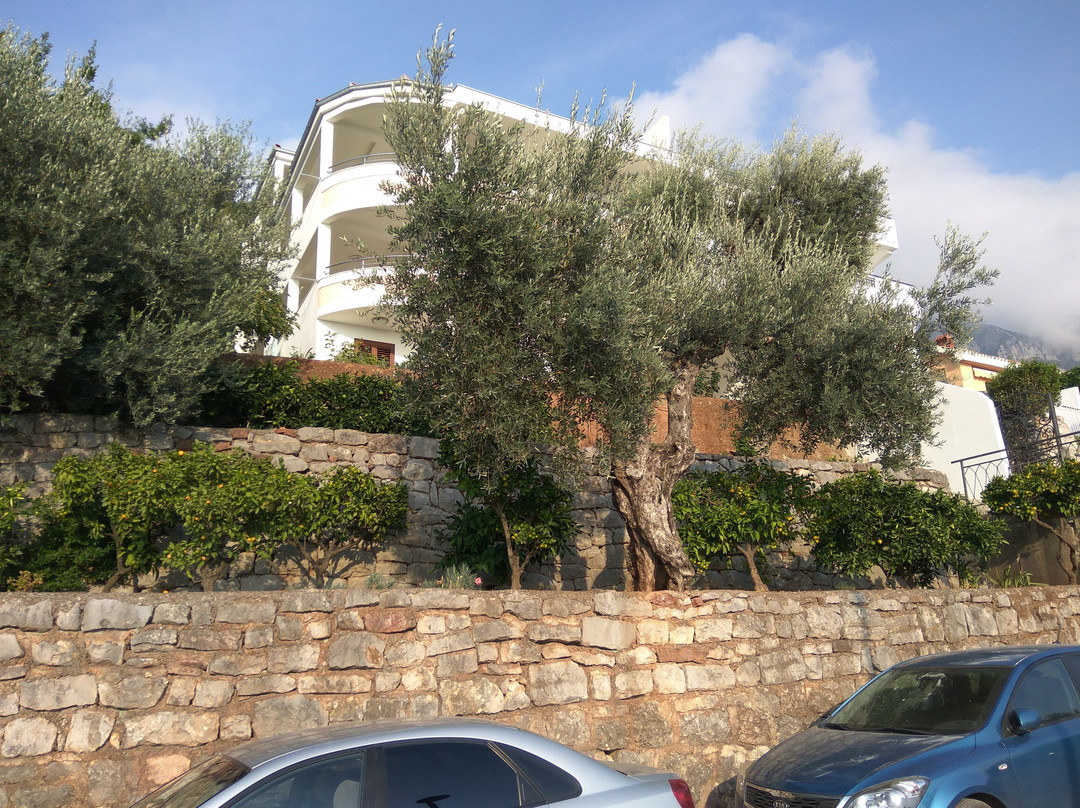 Vila Horizont