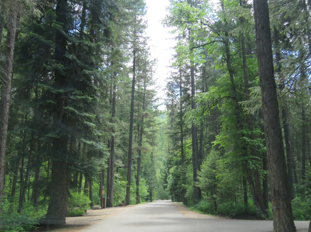 Yahk Provincial Park-Yahk必去景点