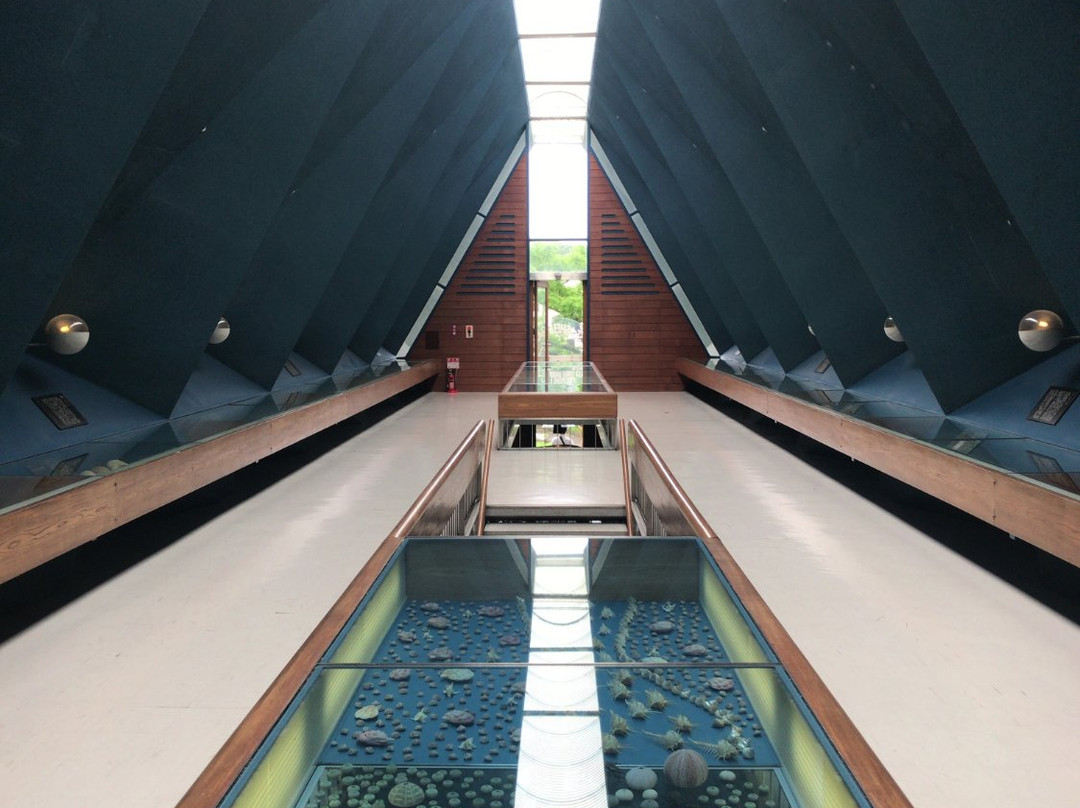 Gallery of the Sea-土佐清水市必去景点