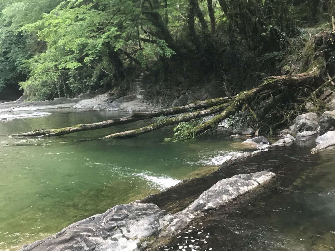 Dagomys旅游攻略图片