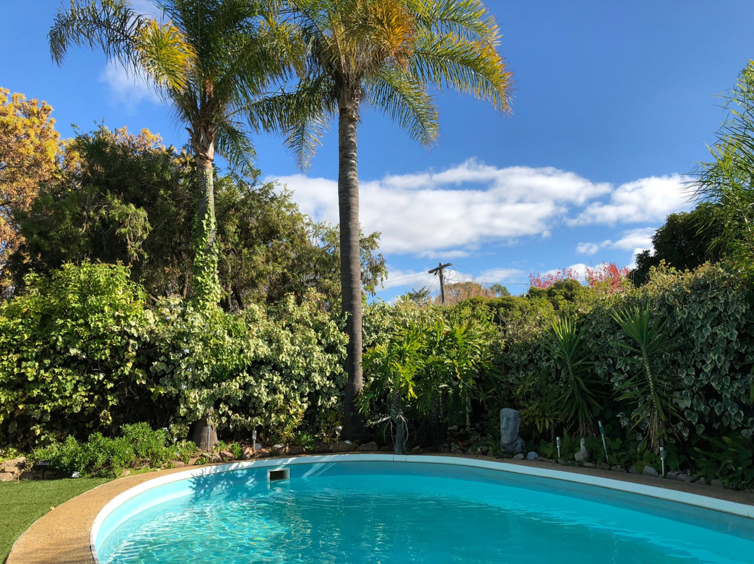 Jolly Swagman Motor Inn主图