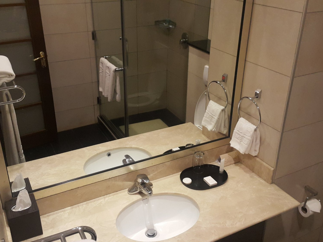 Alba Hotel Meru主图