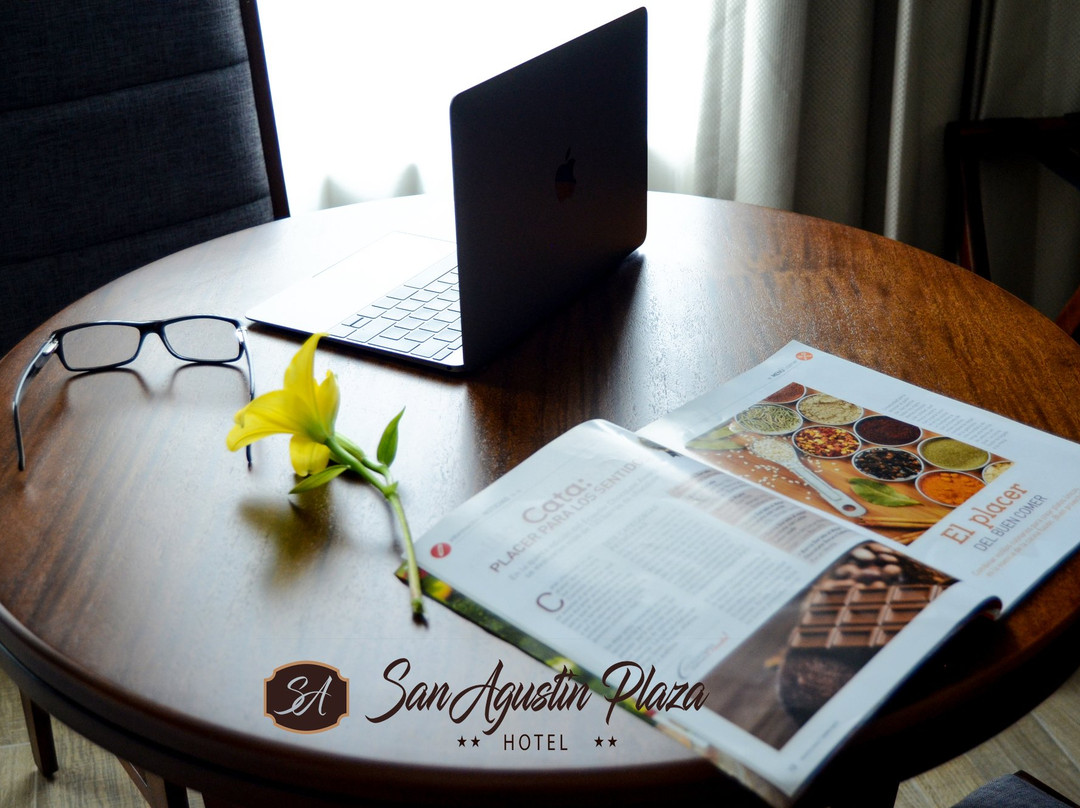 Hotel San Agustin Plaza主图