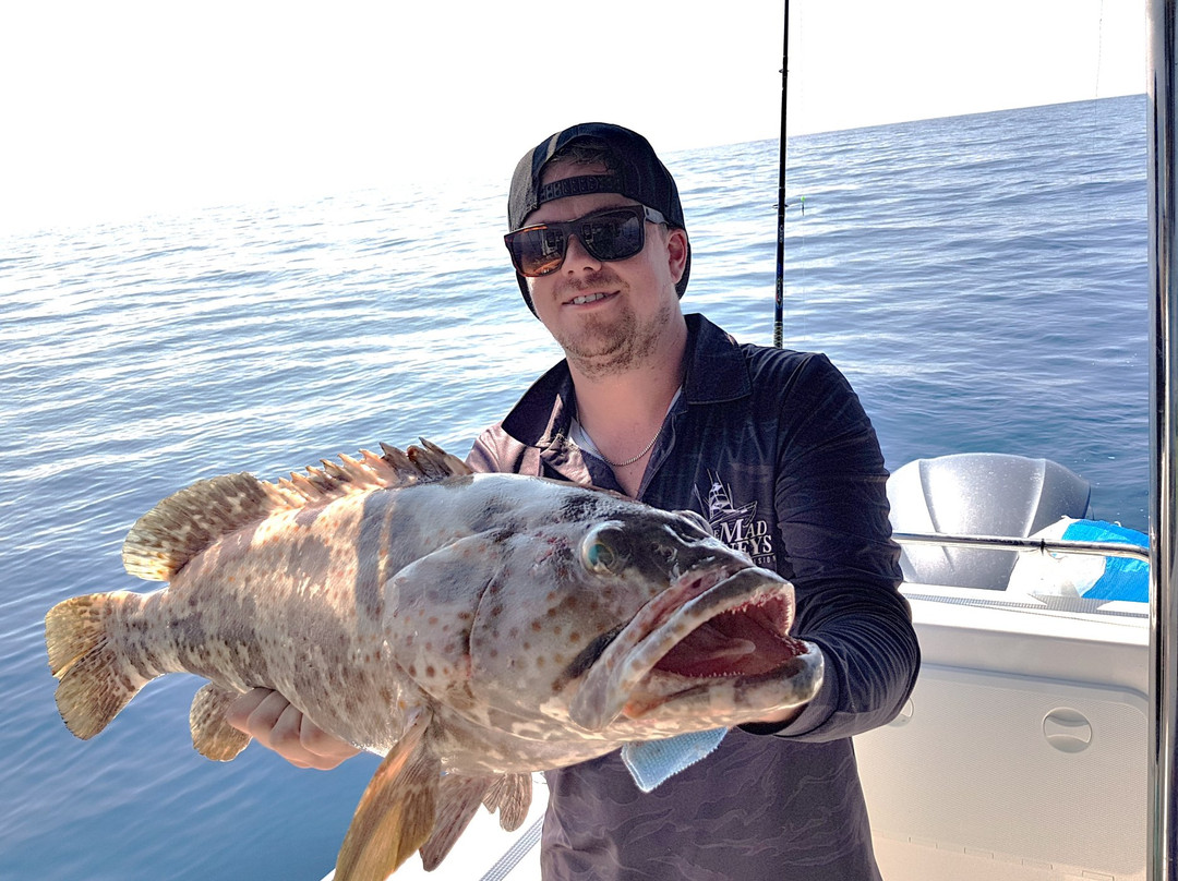 Reef Fish & Dive 1770-Agnes Water必去景点