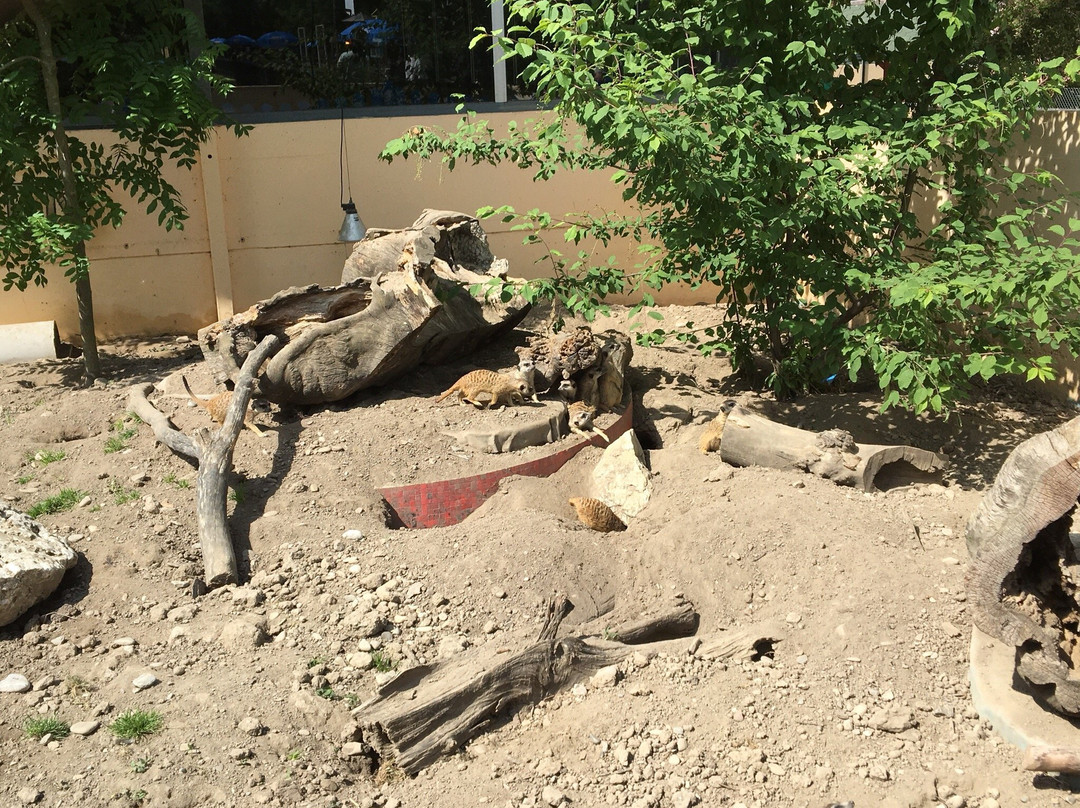 Erlebniswelt Seeteufel景点图片